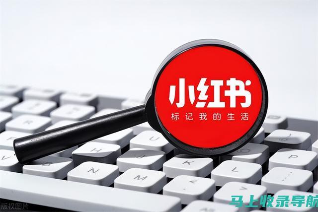 小红书关键词排名优化费用全解析：从入门到精通